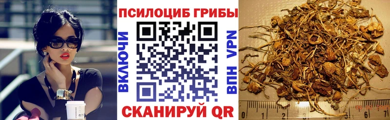 сколько стоит  Полтавская  omg маркетплейс  Галлюциногенные грибы Psilocybine cubensis 